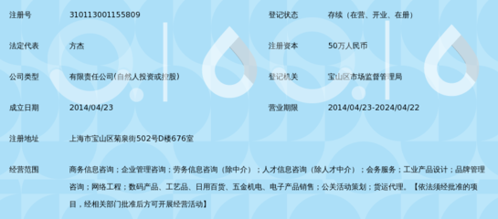 上海墨峰信息咨询有限公司全景解读与服务能力概览